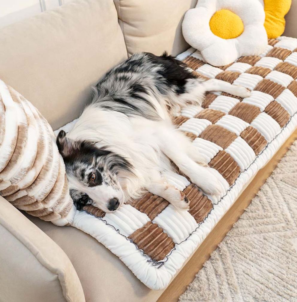 Non-Slip Puppad 