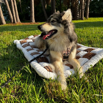 Non-Slip Puppad 