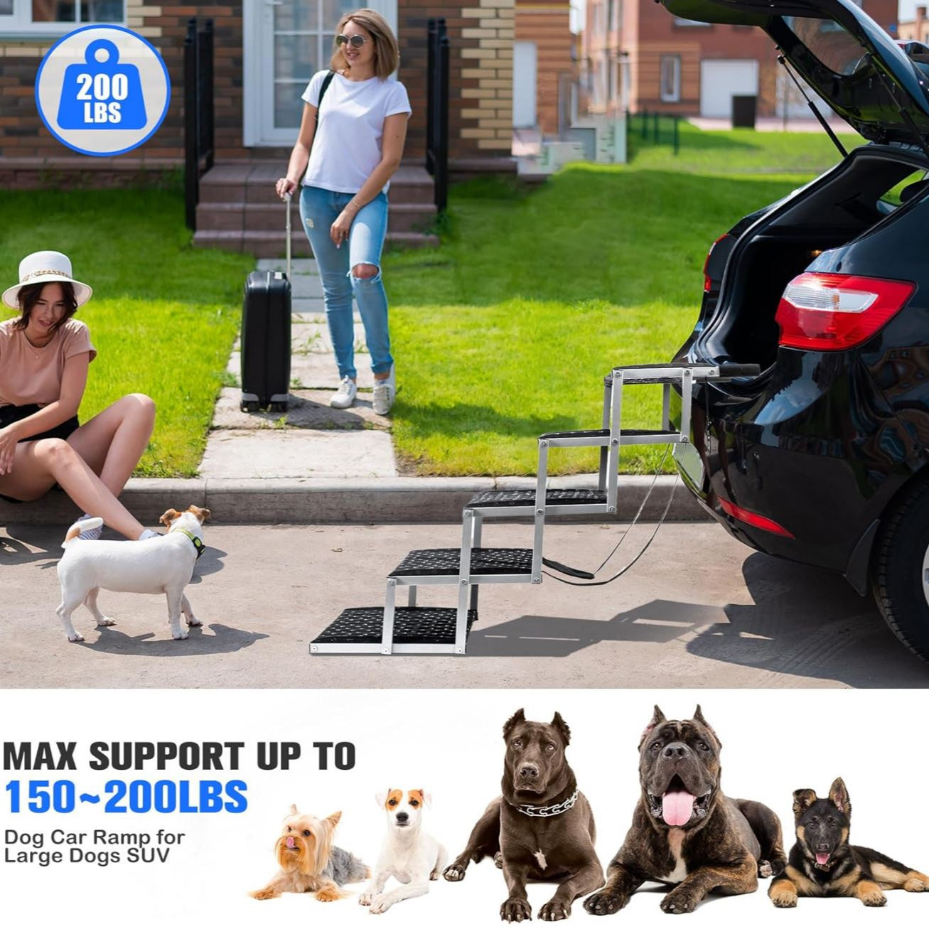 Portable Pawstep