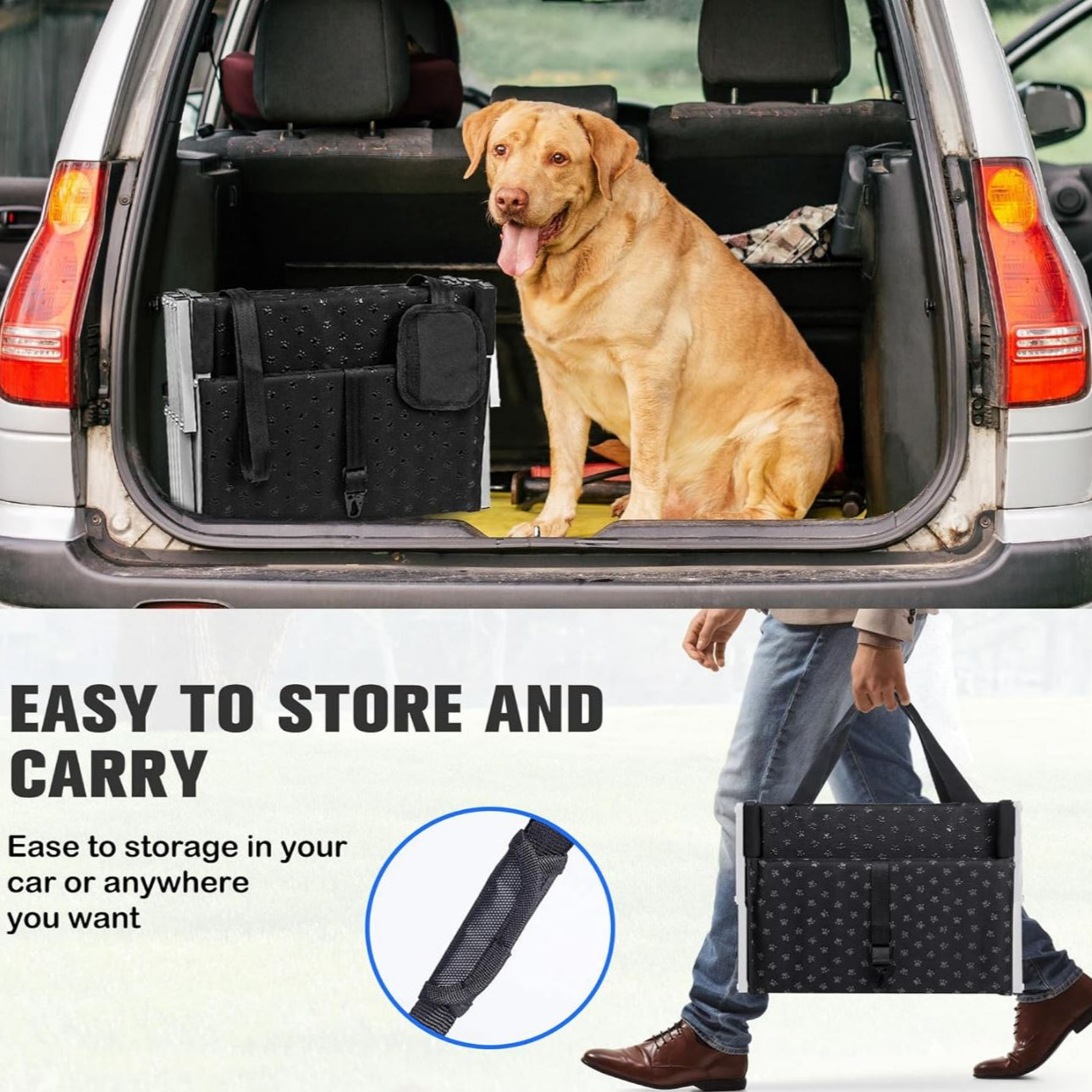 Portable Pawstep